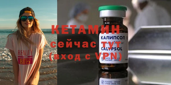 гидра Абаза