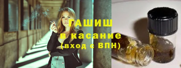 гидра Абаза