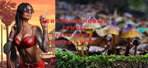 гидра Абаза
