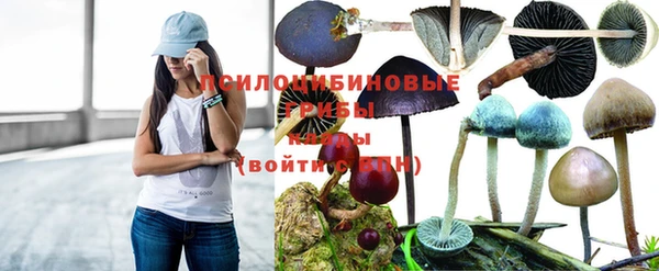 марихуана Абинск