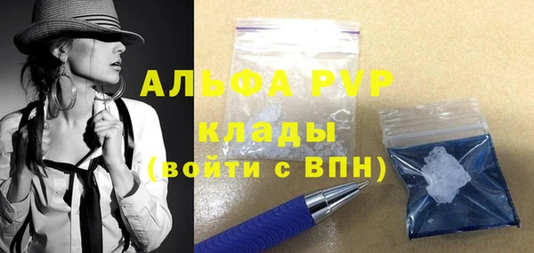 гидра Абаза