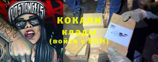 гидра Абаза